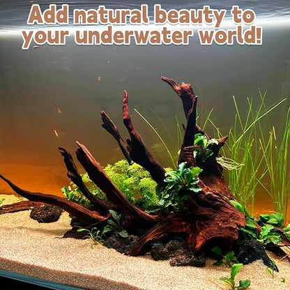 PINVNBY Large Driftwood for Aquarium Fish Tank Decorations Natural Assorted Branches Bearded Dragon Tank Accessories Terrarium Decor for Aquarium Decor (11-18 inches/1 Pack)