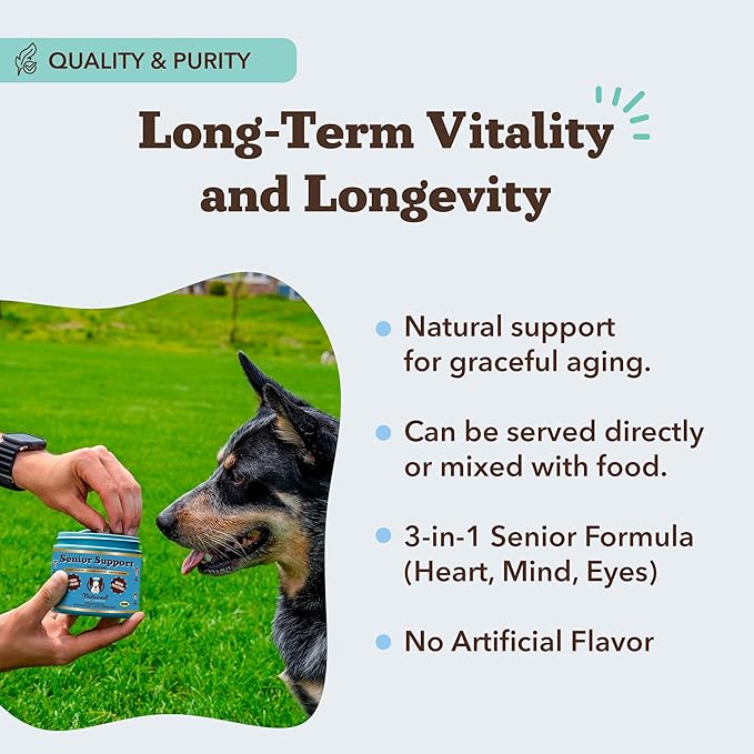 Natural Dog Company Senior Dog Vitamins Chew for Brain, Heart & Eye Health - Cognitive Support, Vision Clarity & Cardiovascular Function with Omega-3s, Lion’s Mane Senior Dog Supplements, 90 cnt