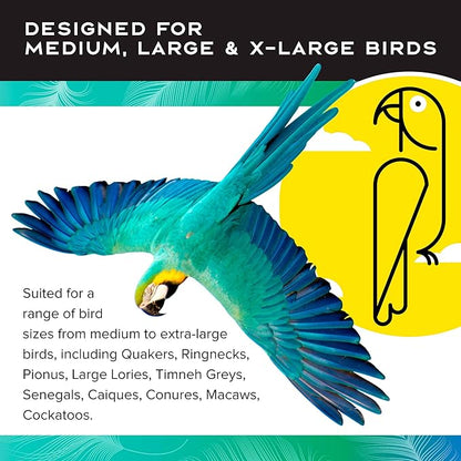Featherland Paradise - Hanging Buffet Ball - Interactive Bird Toy and Treat Dispenser - Creative Foraging Systems - Ideal for Medium to Extra Large Birds