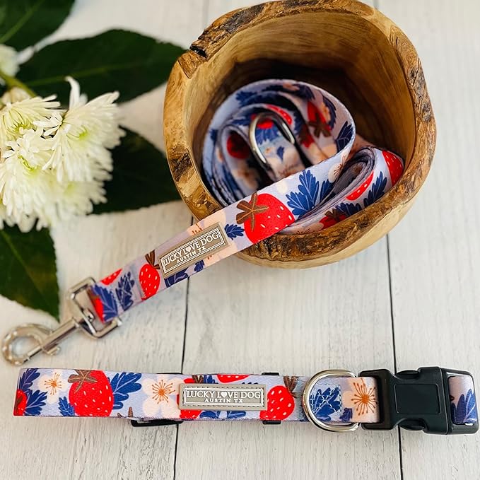 Lucky Love Dog Collars, Strawberry Cute Girl Dog Collar, X-Small Dog Collars for Females, Part of Purchase Donated to Rescue (Extra Small, Sweet Berry, Collar)
