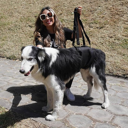 Canine Dog Sling Carrier Support Back Legs Hip Knee Hock Joint Harness to Help Lift Dogs Rear Aid and Old K9 Cruciate (X-Large, Black)