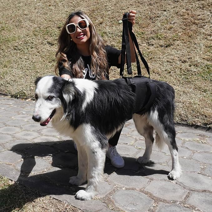 AGON Canine Dog Sling Carrier Support Back Legs Hip Knee Hock Joint Harness to Help Lift Dogs Rear Aid and Old K9 Cruciate (Large, Black)