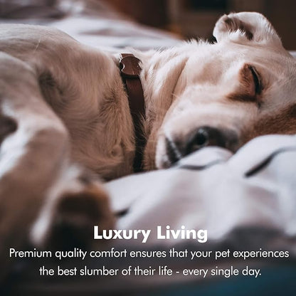 Friends Forever X-Large Dog Bed, Orthopedic Dog Sofa Memory Foam Mattress, Calming Dog Couch Bed, Wall Rim Pillow, Water Resistant Liner, Washable Cover, Non-Slip Bottom, Chester, X-Large Khaki Beige