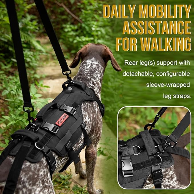 OneTigris Dog Lift Harness for Large Dogs, Dog Hip Support Brace, Full Body Dog Lifter with Handles Invictus Multifunctional Mobility Assistance Vest for Back Legs (Black, Small)