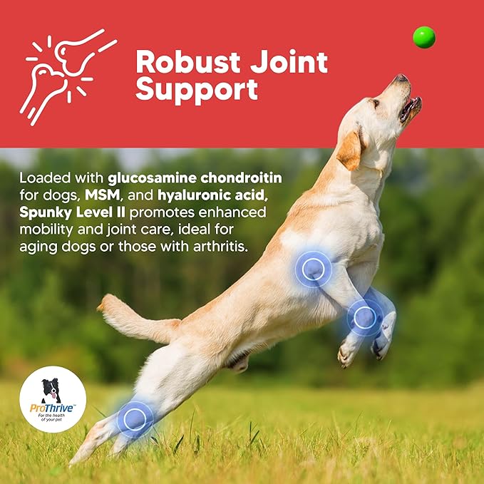 Spunky Level II Hip and Joint Supplement for Dogs, Glucosamine for Dogs with MSM, Dog Vitamins and Supplements Helps Digestion, Dog Joint Supplement - 1LB
