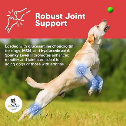 Spunky Level II Hip and Joint Supplement for Dogs, Glucosamine for Dogs with MSM, Dog Vitamins and Supplements Helps Digestion, Dog Joint Supplement - 1LB