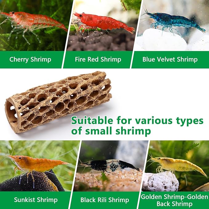 5.9“ Resin Cholla Wood Aquarium Décor Wood- Realistic Shrimp Hideout & Climbing Toy (1-Pack / 2-Pack) (1 PCS)