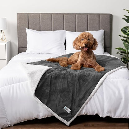 PetAmi WATERPROOF Dog Blanket for Medium Large Dog, Pet Puppy Blanket Couch Cover Protection, Sherpa Fleece Cat Blanket, Sofa Bed Furniture Protector Reversible Soft Plush Washable, 60x40 Charcoal