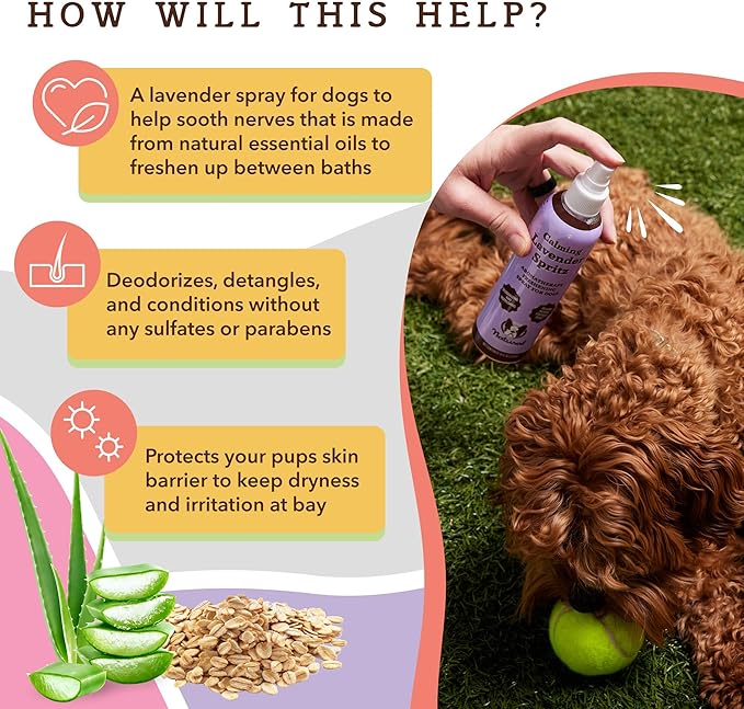 Natural Dog Company Calming Lavender Spritz for Dogs, 8oz  Deodorizing & Moisturizing, Soothes Skin, Conditions Coat, Hypoallergenic, Alcohol-Free, USA Made