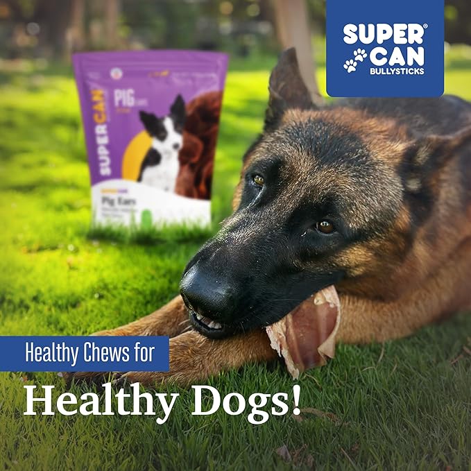 SUPER CAN BULLYSTICKS Pig Ears for Dogs (20 Count) | All Natural Healthy Dog Treats | Pig Ears for Large, Medium & Small Dogs | Natural Chews Alternative to Rawhide