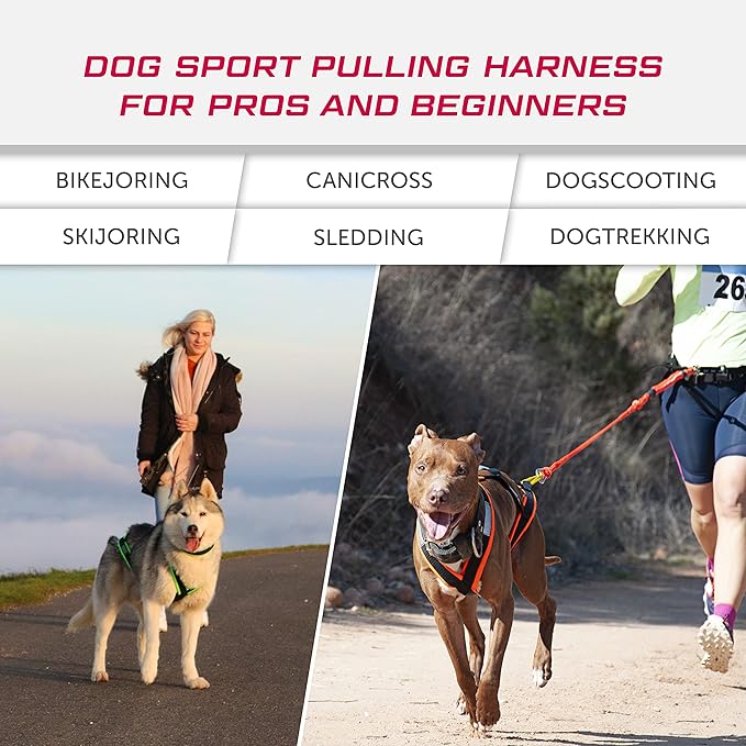 Dog Weight Pulling Harness , XBack for Canicross , Dog Sport , Bike Joring , Ski Joring , Sled Harness, Dog mushing , Dog Running Harness , Black Neongreen