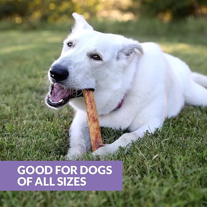 Collagen Chews for Dogs, Stick Dog Treat for Medium & Large Dogs (10" 3ct, Real Duck) - Dog Chews Long Lasting, Rawhide Free, Low Fat, Grain Free Retriever Rolls