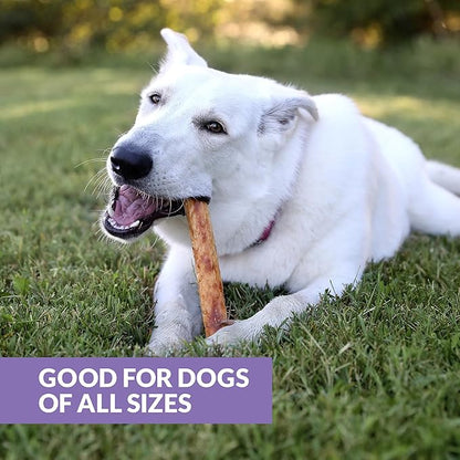 Collagen Chews for Dogs, Stick Dog Treat for Medium & Large Dogs (10" 3ct, Real Duck) - Dog Chews Long Lasting, Rawhide Free, Low Fat, Grain Free Retriever Rolls