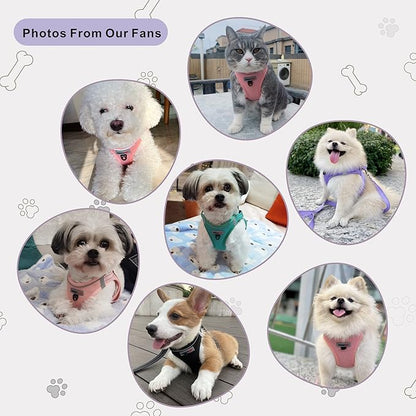 Dog Harness,Step in no Pull Dog Harness Adjustable Reflective Padded Mesh Fabric Dog Vest for Extra-Small/Small Medium Dogs and Cats,Purple,XS