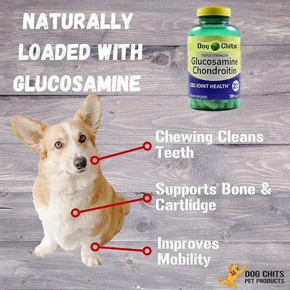 Dog Chits Lamb Esophagus for Dogs - Dog and Puppy Chews | Amazing for Joints | 6 in, 15 Pack | Made in USA | Large and Small Dogs | Nothing Added | Lots of Natural Glucosamine