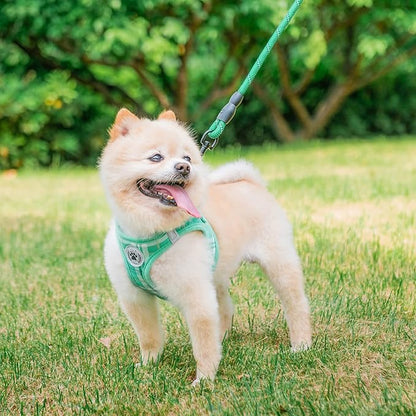 BEAUTYZOO Small Dog Harness and Leash Set,Step in No Chock No Pull Soft Mesh Dog Harnesses Reflective for Extra-Small/Small Medium Puppy Dogs and Cat, Plaid Dog Vest Harness for XS S Pet,Turquoise XXS