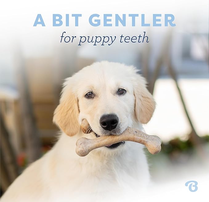 Benebone Puppy Fishbone Dog Chew Toys, Softer for Modest Chewers, Made in USA