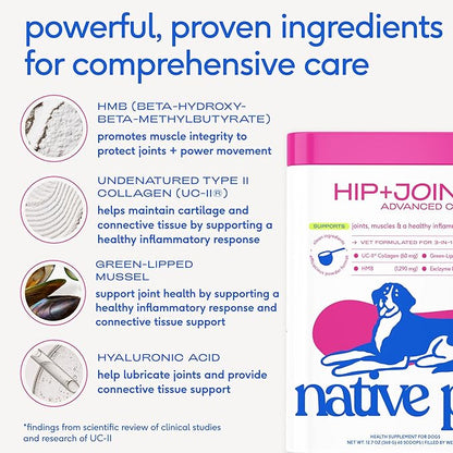 Native Pet Advanced Care - Hip & Joint Supplement for Dogs - Supports Joints, Cartilage, Muscles & Anti-Inflammatory with HMB, UC-II Collagen, Green Lipped Mussel & Hyaluronic Acid - 30 Scoops