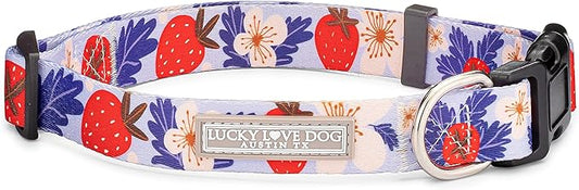 Lucky Love Dog Collars, Strawberry Cute Girl Dog Collar, Small Dog Collars for Females, Part of Purchase Donated to Rescue (Small, Sweet Berry, Collar)