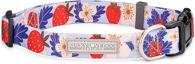 Lucky Love Dog Collars, Strawberry Cute Girl Dog Collar, X-Small Dog Collars for Females, Part of Purchase Donated to Rescue (Extra Small, Sweet Berry, Collar)