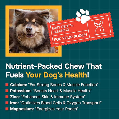 100% Natural - Elk Antlers for Dogs (3 Pack) - Chewers - Naturally Shed in USA - Dog Antler Chews for Medium Breeds - Natural, Long-Lasting Treats for Aggressive Chewers - No Odor & No Mess - Medium