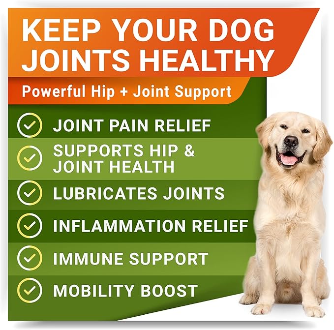 Large Breed Hemp + Glucosamine Dog Joint Supplement - Hemp Chews for Dogs Hip Joint Pain Relief - Omega 3, Chondroitin, MSM - Advanced Mobility Hemp Oil Treats for Large Dogs - Made in USA - 240 Ct