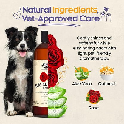 Dog Shampoo and Conditioner Balancing Rose 16 Fl Oz Dog Shampoo Itchy Skin Relief, Aromatherapy Natural Dog Shampoo for Smelly Dogs with Aloe Vera, Rose & Oatmeal Shampoo for Dogs by Gerrard Larriett