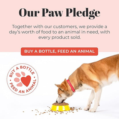 Skout's Honor Probiotic Pet Shampoo & Conditioner with Avocado Oil & Omega-3s, 97% Natural, Paraben & Sulfate-Free, Cruelty-Free, 16oz, Honeysuckle 2-Pack