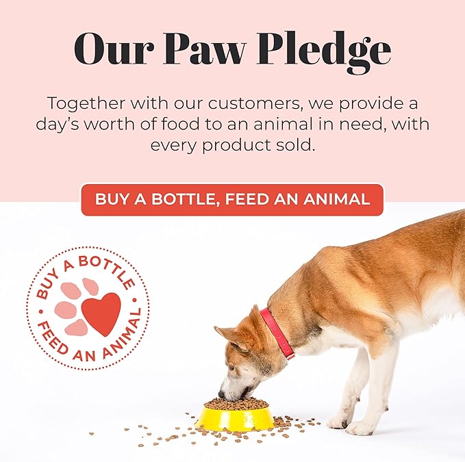 Skout's Honor Probiotic Pet Shampoo & Conditioner with Avocado Oil & Omega-3s, 97% Natural, Paraben & Sulfate-Free, Cruelty-Free, 16oz, Sunkissed Coconut, 2-Pack