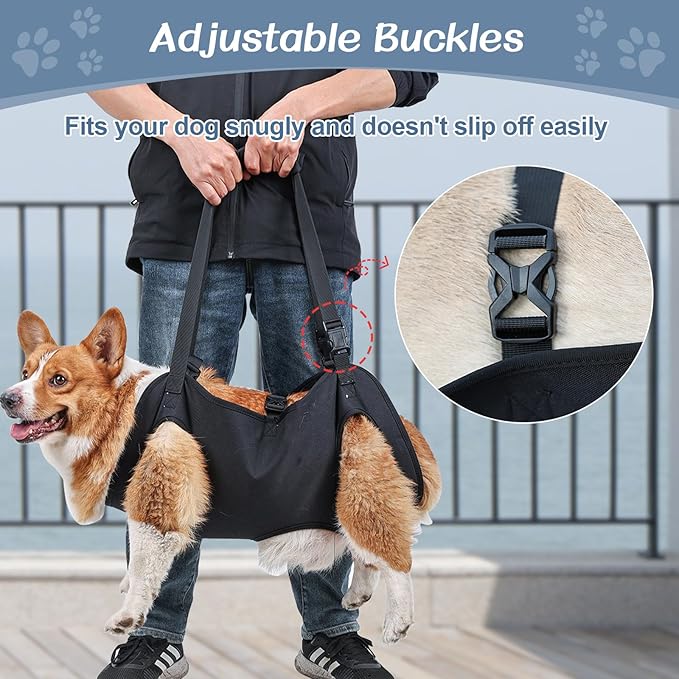 BIGNADO Dog Lift Harness Adjustable Full Body Support Dog Sling Breathable Straps for Assisted Mobility Dog Legs Hip Rehabilitation Lifts for Elderly Disabled Leg Injuries Dogs-M