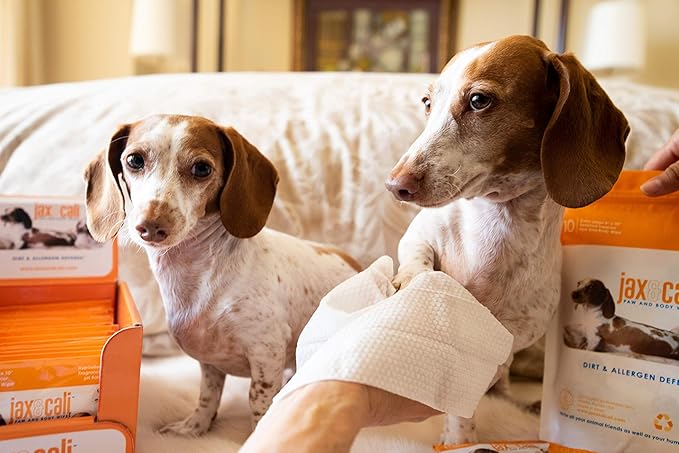 JAX & CALI Pet Wipes, Natural Textured Paw and Body Wipes, Hypoallergenic, pH Balanced, Vitamins B3 & E, Soothing Aloe, No Fragrance, Holistic, Cruelty Free, Dogs & Cats, Extra Large 8"x10", 20 Wipes