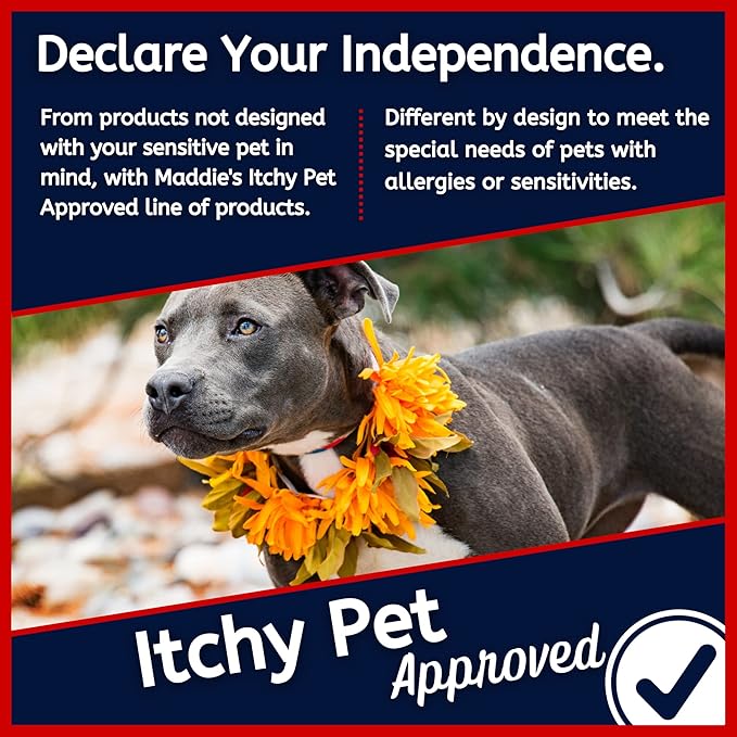 Puppy + Kitten Tearless and Gentle Hypoallergenic 2 in 1 Shampoo + Conditioner - Itchy Pet Approved Line - Fruity Scent