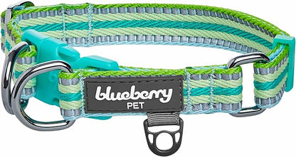 Blueberry Pet 3M Reflective Dog Collars | Adjustable Dog Collar w/Multi-Colored Stripe - Mint Blue and Green | Nylon Pet Collars for Dogs & Refflective Dog Collar for Small Dogs