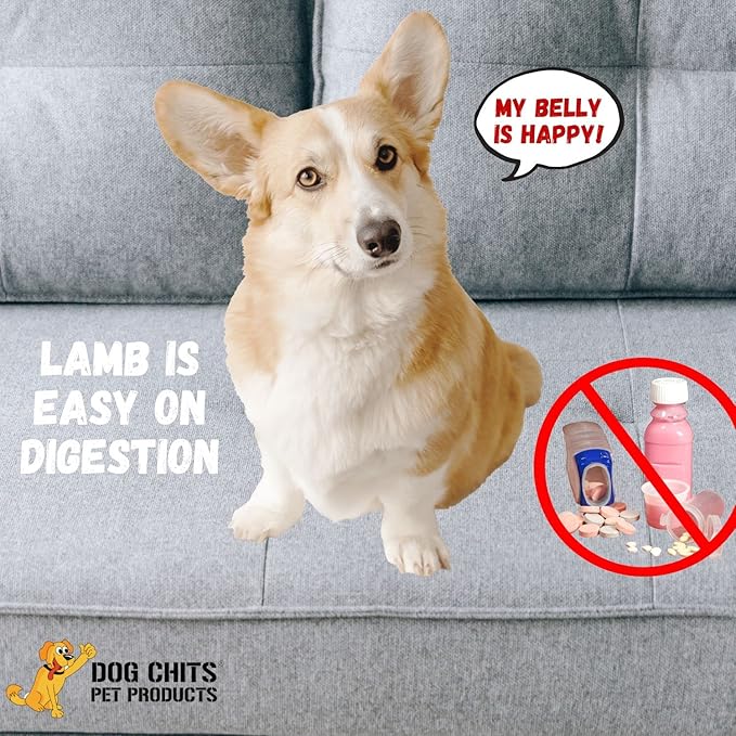 Dog Chits Lamb Esophagus for Dogs - Dog and Puppy Chews | Amazing for Joints | 6 in, 15 Pack | Made in USA | Large and Small Dogs | Nothing Added | Lots of Natural Glucosamine