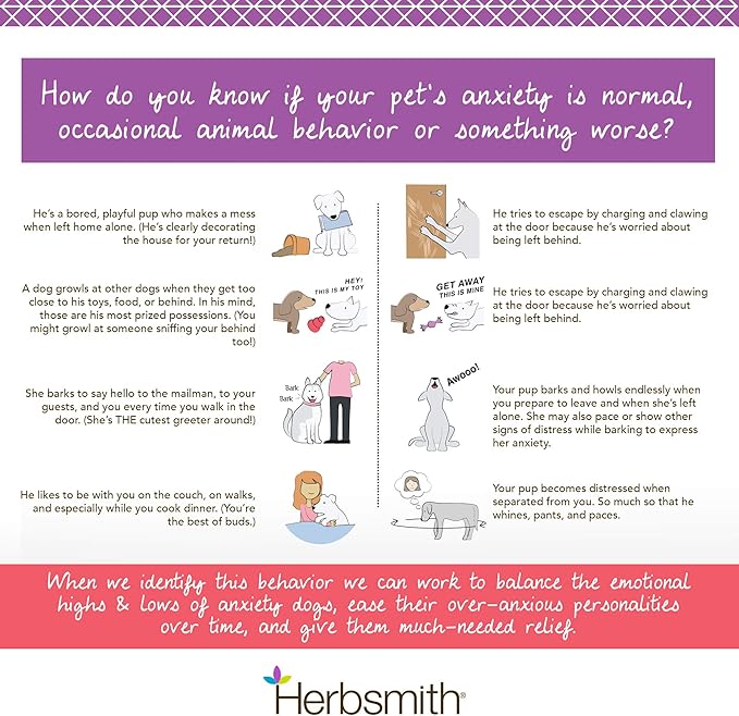 Herbsmith Calm Shen – Herbal Blend for Dogs & Cats – Natural Anxiety Remedy for Dogs & Cats – Feline and Canine Calming Supplement – 150g Powder