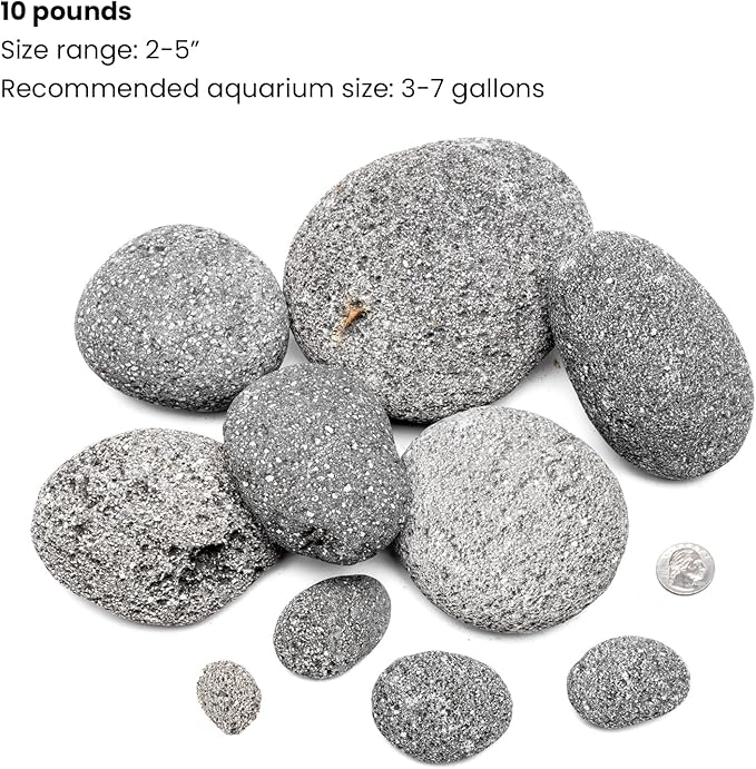 SubstrateSource Natural Stone for Aquarium, Terrarium, Paludarium, Reptile Enclosures - Set of Decorative Rocks for Landcapes, Aquascaping, Fish Tank Decor (Black Star Stone, 10 Pounds)