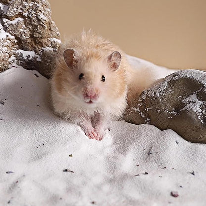 DR.DUDU Hamster Bath Sand, 6.6lb Dust Free Desert Sand or Potty Litter Sand for Hamster Chinchillas Gerbil Syrian Mice Small Animals (White, Flower Smell)