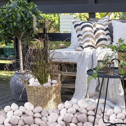 20Ib White River Rocks for Landscaping- High Polished Pebbles for Plants-Garden Decorative Stones-1-2 Large Plant Rocks,Ideal for Aquarium, Home Decor