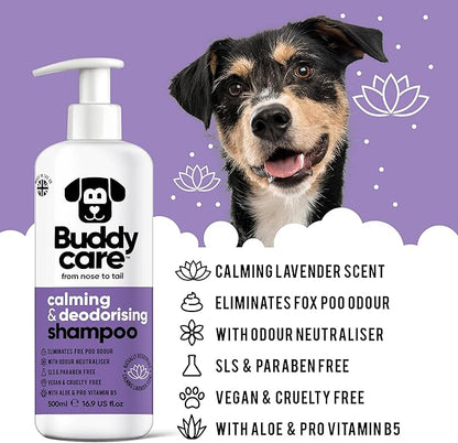 Calming & Deodorising Dog Shampoo by Buddycare | Lavender Scented | Itchy Skin Relief for Smelly Dogs | Deep Cleansing Shampoo for Dogs Puppy Sensitive Skin | with Aloe & Vitamin B5 (16.90oz)