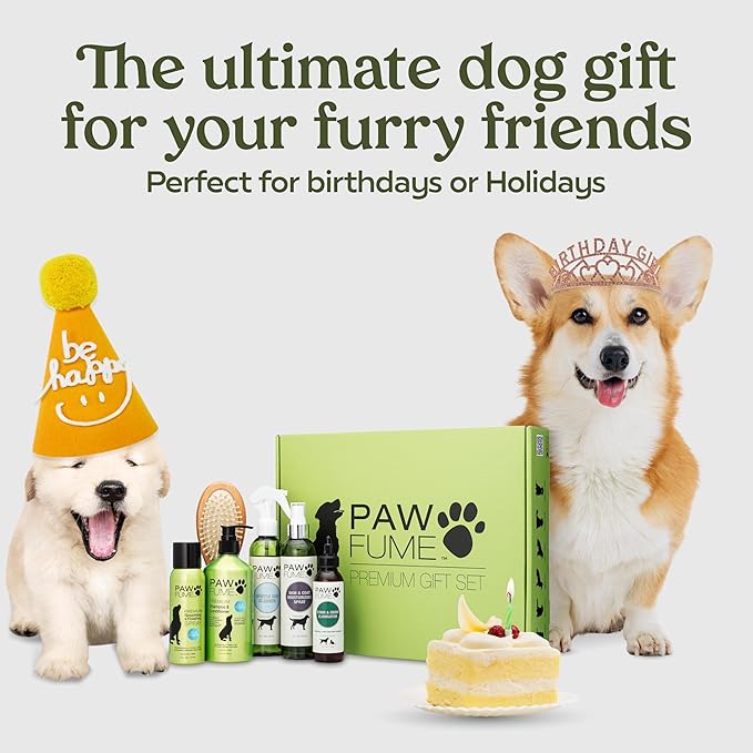 Pawfume Dog Gift Basket, 6-Piece Box  Give Your Pup a Spa-Quality Coat & Odor-Free Freshness  Probiotic Deodorizer Spray, Hypoallergenic Grooming Mist & Premium Brush  Dog Gift Boxes for All Breeds