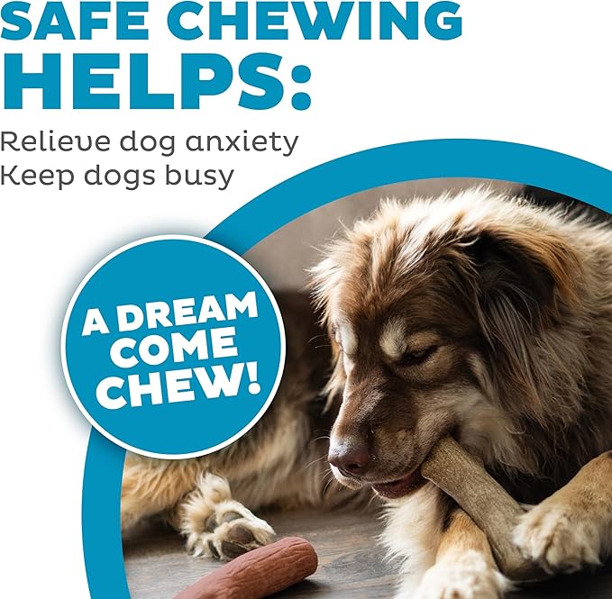 Petstages Dogwood Durable Dog Chew Toys, Real Wood & Mesquite, 2-Pack, Medium