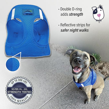 Doggie Design Dog Harness - No Choke Dog Harness, Dog Vest, Mesh Polyester, Pet Harness, Simple Step in and Go Design, Harness for Dog - Cobalt Blue, XL