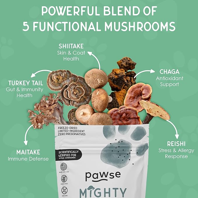Mighty Mushroom Supplement for Dogs & Cats | for Immune System, Lumps & Bumps, Gut Health & Skin Support | Mushroom Blend with Turkey Tail, Reishi, Chaga, Maitake & Shiitake | 60 Bites