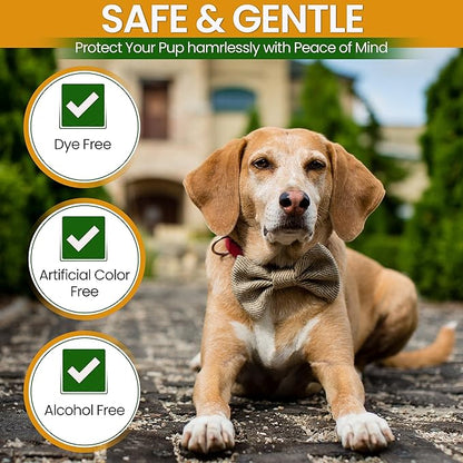 Dry Skin & Anti Itch Shampoo for Dogs | Oatmeal Dog Shampoo | Itchy Skin Relief | Hypoallergenic with Anti Dandruff Treatment | Anti-Fungal & Alcohol-Free | Nutrient-Rich | Suitable for All Pets