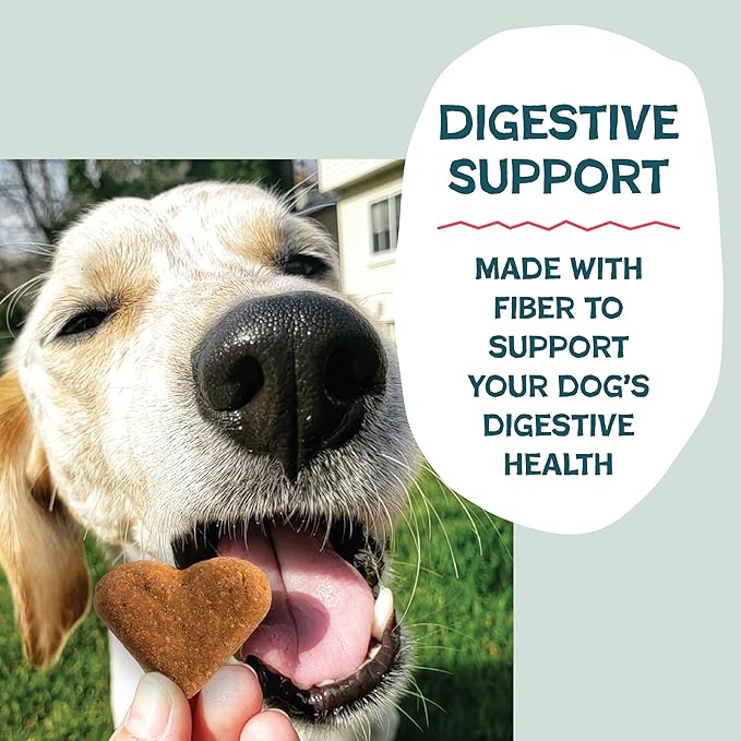 Shameless Pets Crunchy Dog Treats - Bacon It Easy, 12oz - Healthy Dog Biscuits & Cookies Treats for Medium, and Large Dogs - Made in The USA - Free from Corn & Soy