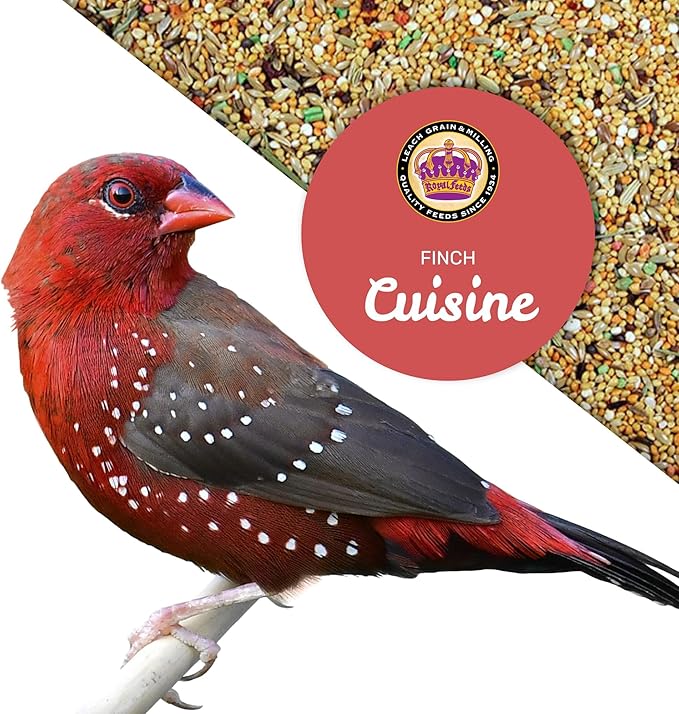 Finch Cuisine 20 lbs, Finch Food, Nutrient-Rich Blend Bird Seed, Birdseed for Finches and Small Birds, Support Daily Energy, Growth & Healthy Balanced Diet, No Mess Bird Seed