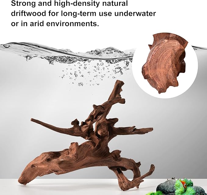 majoywoo Natural Large Coral Driftwood for Aquarium Decor Reptile Decor, Assorted Driftwood Branch 9-14" 2 Pcs, Fish Tank Decoration