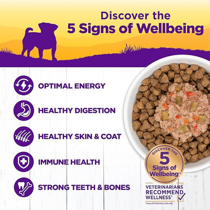 Wellness Natural Pet Food 3 Oz Grain Free Natural Wet Small Breed Roasted chicken, beef, green beans & Red Peppers. (12 Pack), One Size