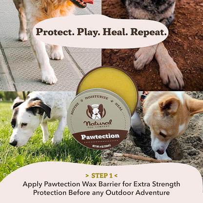 Natural Dog Company PawTection Balm 1 oz Tin – Dog Paw Protection with Shea Butter & Calendula – Shields Paws from Snow, Ice, Salt, Hot Pavement & Rough Terrain – Lick-Safe, All Breeds