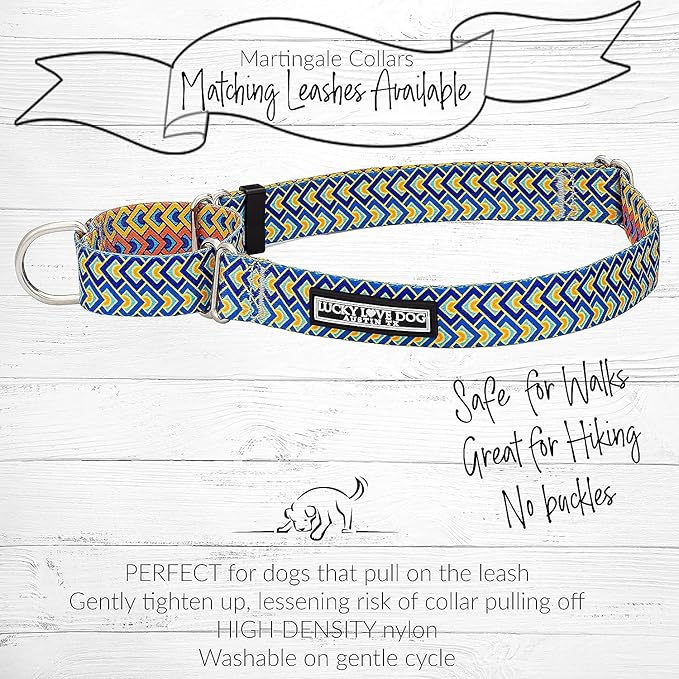 Lucky Love Dog Martingale Collar and Leash Set, Premium No Slip Collar for Male Dogs, Comfortable & Soft Martingale Dog Collars, Great for Whippets, Greyhounds, and More (Murphy, Medium - Combo)